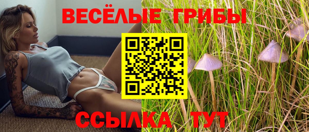 Галлюциногенные грибы Cubensis Вязьма