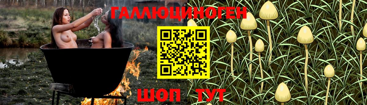 Вязьма  Галлюциногенные грибы Cubensis  Вход с VPN  Псилоцибиновые грибы прущие грибы 